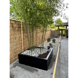 Stalen plantenbak 180x180x40 cm Zwart