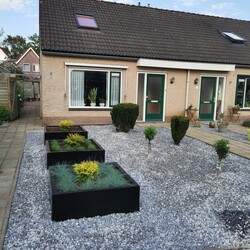 Stalen plantenbak 120x120x60 cm Zwart