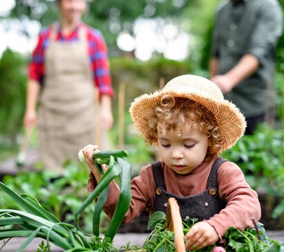 Moestuinbakken zelf maken of een plantenbak gebruiken?