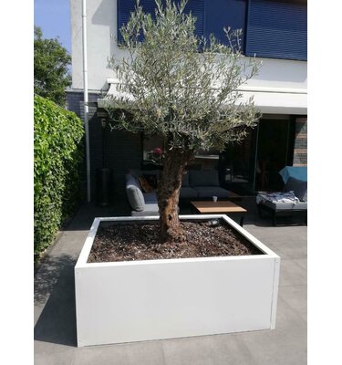 Maatwerk stalen plantenbak met wielen