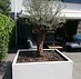 Maatwerk stalen plantenbak met wielen