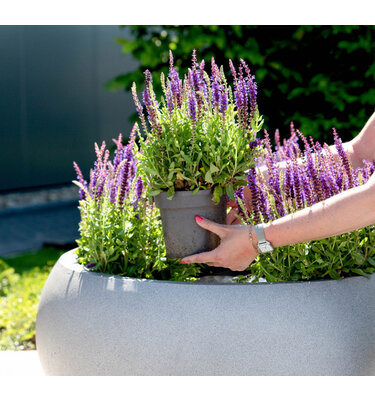 Plantenbak Fiberglass rond Ø 55xH25 cm Grigio "Natural Concrete"
