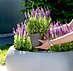 Plantenbak Fiberglass rond Ø 55xH25 cm Grigio "Natural Concrete"