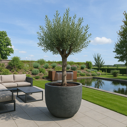 Plantenbak Fiberclay 80x80x62 cm Antraciet