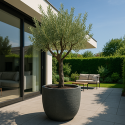 Plantenbak Fiberclay 90x90x70 cm Antraciet