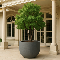 Plantenbak Fiberclay 100x100x80 cm Antraciet