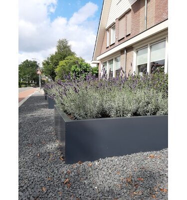 Stalen plantenbak 140x140x40 cm Zwartgrijs