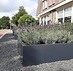 Stalen plantenbak 140x140x40 cm Zwartgrijs