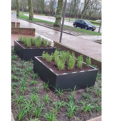 Stalen plantenbak 140x140x40 cm Zwartgrijs