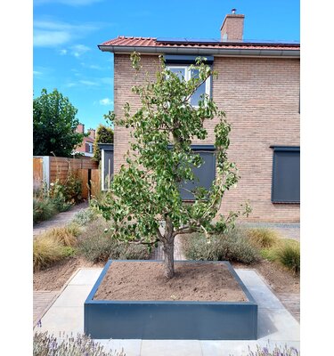 Stalen plantenbak maatwerk 200x50x60 cm (LxBxH) zwartgrijs RAL 7021