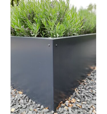 Stalen plantenbak maatwerk 200x50x60 cm (LxBxH) zwartgrijs RAL 7021
