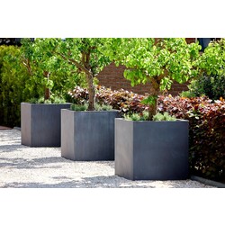 Plantenbak Fiberclay 75x75x75 cm Antraciet