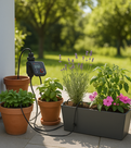 Planten water geven op vakantie: zo doe je dat slim!