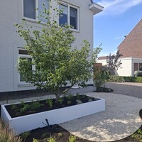 Aluminium plantenbak: wat zijn de voordelen en nadelen?