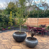 Bloempot buiten: stijl, duurzaamheid en inspiratie voor elke tuin