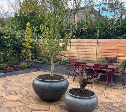 Bloempot buiten: stijl, duurzaamheid en inspiratie voor elke tuin