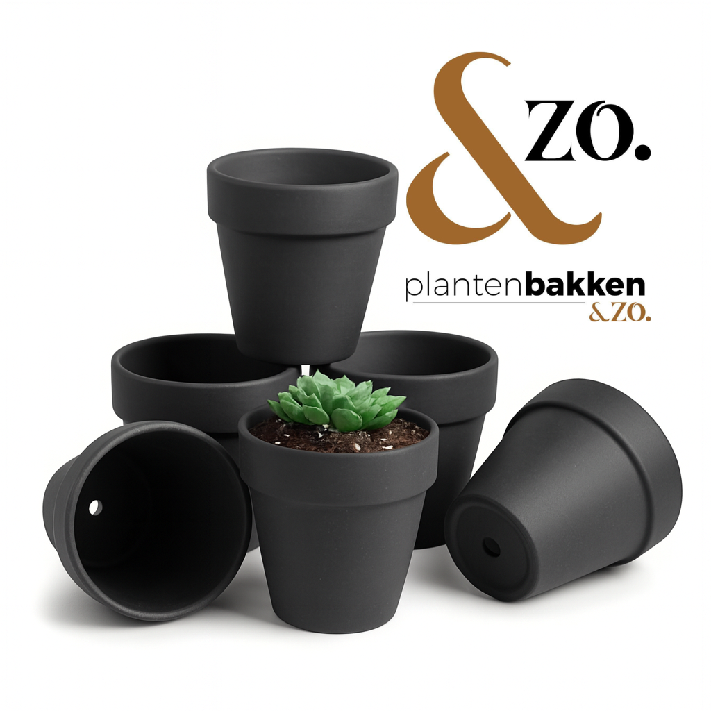 Bakje voor nootjes of plantenpotje voor vetplantjes (handgemaakt keramiek