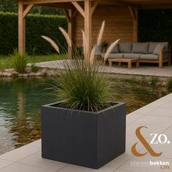 Plantenbak Fiberclay 60x60x60 cm Antraciet