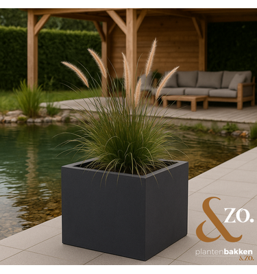 Plantenbak Fiberclay vierkant "Luxor" 60x60x60 cm Antraciet