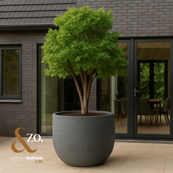 Plantenbak Fiberclay 100x100x80 cm Antraciet