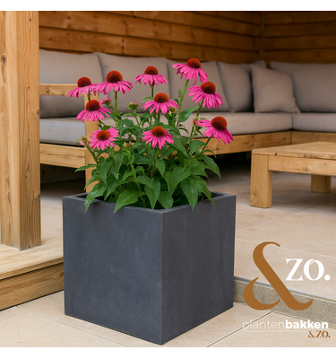 Plantenbak Fiberclay vierkant "Luxor" 50x50x50 cm Antraciet