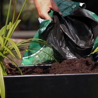 Plantenbak buiten groot vullen – zo doe je dat stap voor stap!