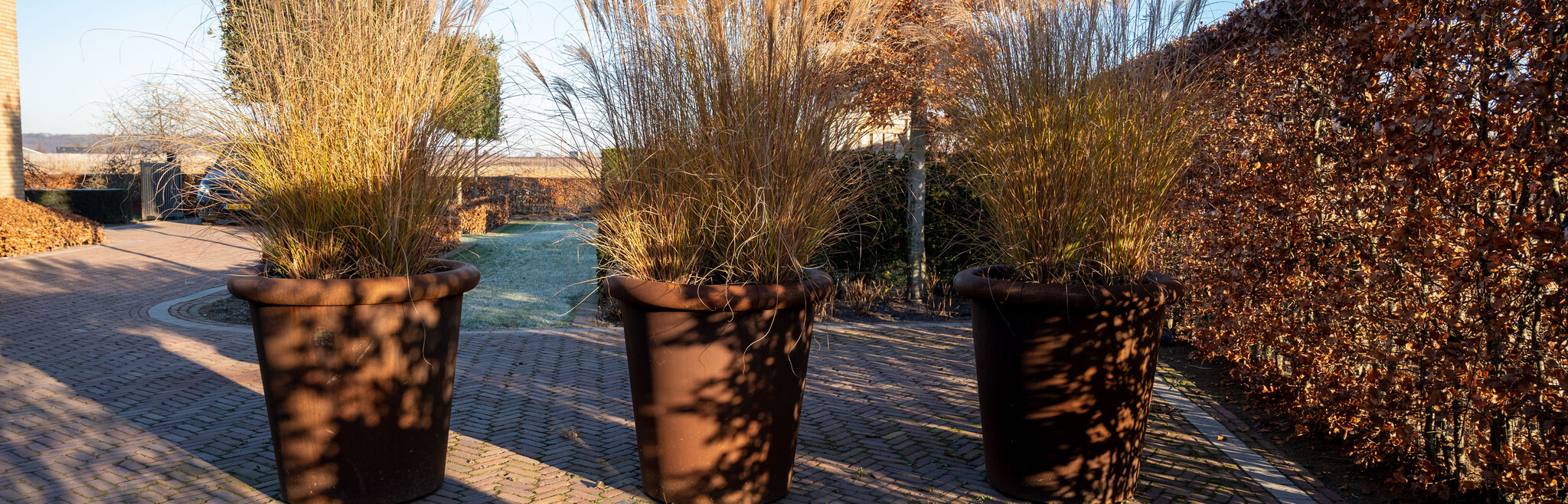 Grote plantenbak buiten