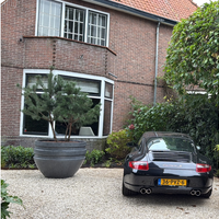 Grote plantenbak buiten kiezen: 5 tips van onze experts!