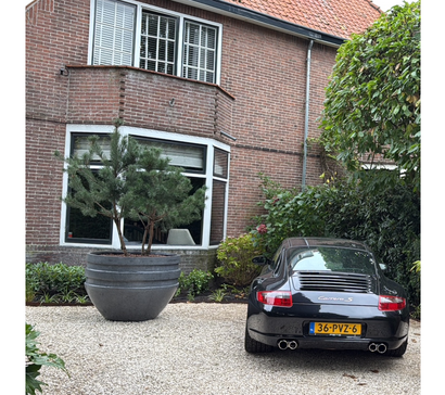 Grote plantenbak buiten kiezen: 5 tips van onze experts!