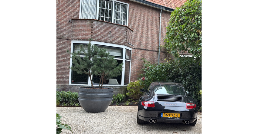 Leer hoe je een olijfboom eenvoudig kunt ompoten