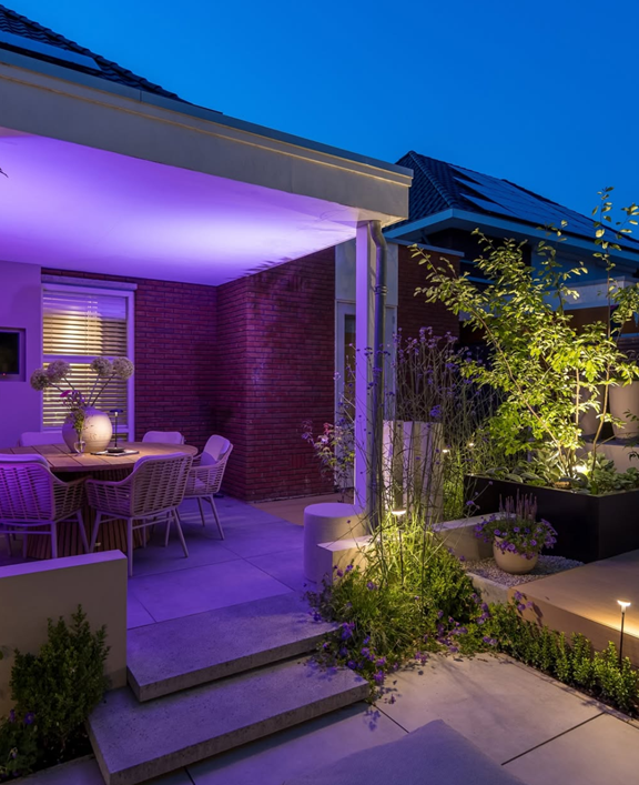 Zwarte stalen plantenbak