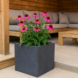 Plantenbak Fiberclay 50x50x50 cm Antraciet