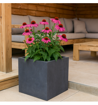 Plantenbak Fiberclay vierkant "Luxor" 50x50x50 cm Antraciet