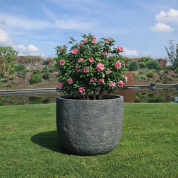 Plantenbak Fiberclay 71x71x54 cm Antraciet