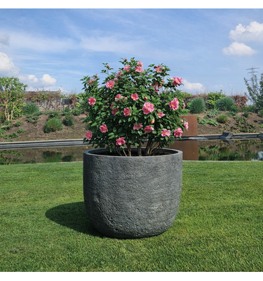 Plantenbak Fiberclay rond "Verona" 71x71x54 cm Antraciet