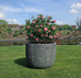 Plantenbak Fiberclay rond "Verona" 71x71x54 cm Antraciet