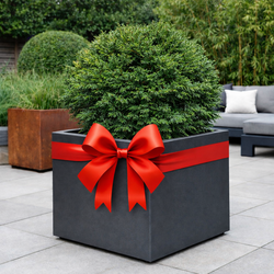 Cadeaubon Plantenbakken & Zo