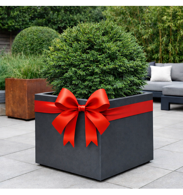 Cadeaubon Plantenbakken & Zo