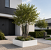 Stalen plantenbak 120x120x40 cm Wit