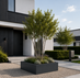 Stalen plantenbak 120x120x40 cm Antraciet