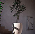 Terreno Tall Balloon 74x92 cm
