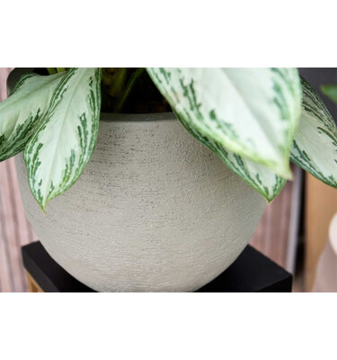 Terreno New Egg Pot  80x66 cm