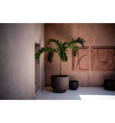 Terreno New Egg Pot 80x66 cm