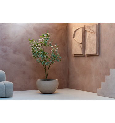 Terreno Elena 120 120x75cm