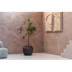 Ruvido Organic 67 cm - Ash Brown
