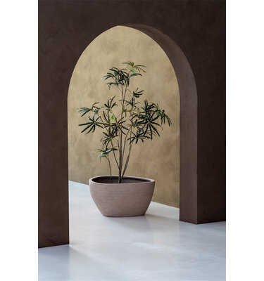 Ruvido Organic Low 93x50 cm