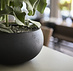 Grigio Low Balloon 73x33 cm