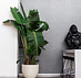 Grigio New Egg Pot  80x66 cm