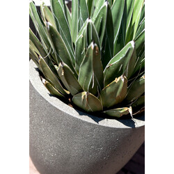 Grigio New Egg Pot 65 cm - Natural Concrete