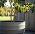 Bordo New Egg Pot Low 110x65 cm